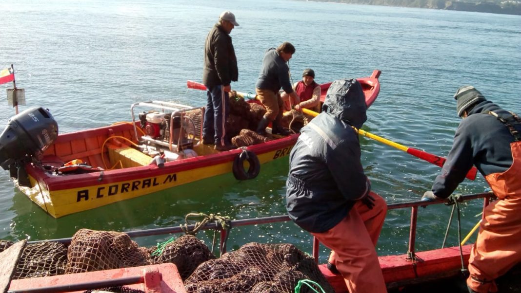 locos-2-morro-gonzalo