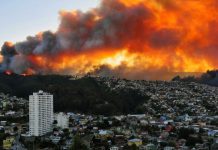 PDI investigó 5.751 incendios forestales en los últimos cuatro años: La mayoría en La Araucanía y Santiago