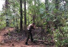 Investigan incendios forestales que habrían sido provocados con velas en Río Negro