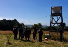 Autoridades gestionaron solución de emergencia por agua potable para isla Quenu