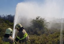 Puerto Montt: Bomberos trabaja en el combate de incendios forestales y del límite urbano