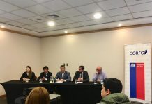 Perú es el nuevo país de exportación de servicios acuícolas a través de Corfo