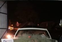 Sernapesca y Armada incautaron 500 metros de red en lago Llanquihue