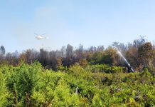 ONEMI declaró alerta roja a la comuna de Futaleufú por incendios forestales