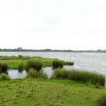Foto 2 Humedal