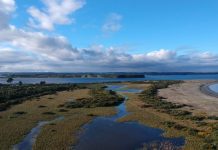 Autoridades presentaron expediente para declarar los humedales del río Maullín como santuario de la naturaleza