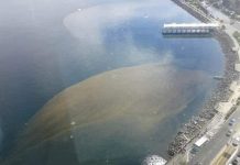 Municipalidad de Puerto Montt emplaza a instituciones resolver descargas de sumideros y malos olores en la Costanera