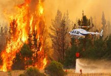 Dos comunas con alerta roja y una con alerta amarilla registra la Región de Los Lagos por incendios forestales