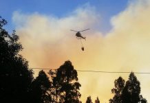 Más de 300 hectáreas de terreno se han visto afectadas por incendios forestales en la región