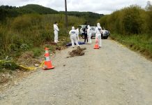 PDI de Valdivia investiga hallazgo de cadáver en Valdivia