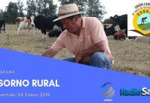 Osorno Rural (24 Enero)