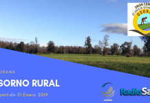 Osorno Rural (31 Enero)