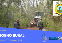 Osorno Rural (05 Febrero)