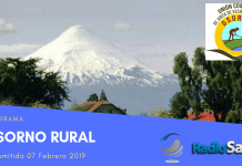 Osorno Rural (07 Febrero)