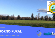 Osorno Rural (12 Febrero)