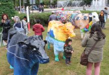 Rotary Osorno Colonial no descarta acciones legales contra responsables por daños en proyecto Vacas Urbanas