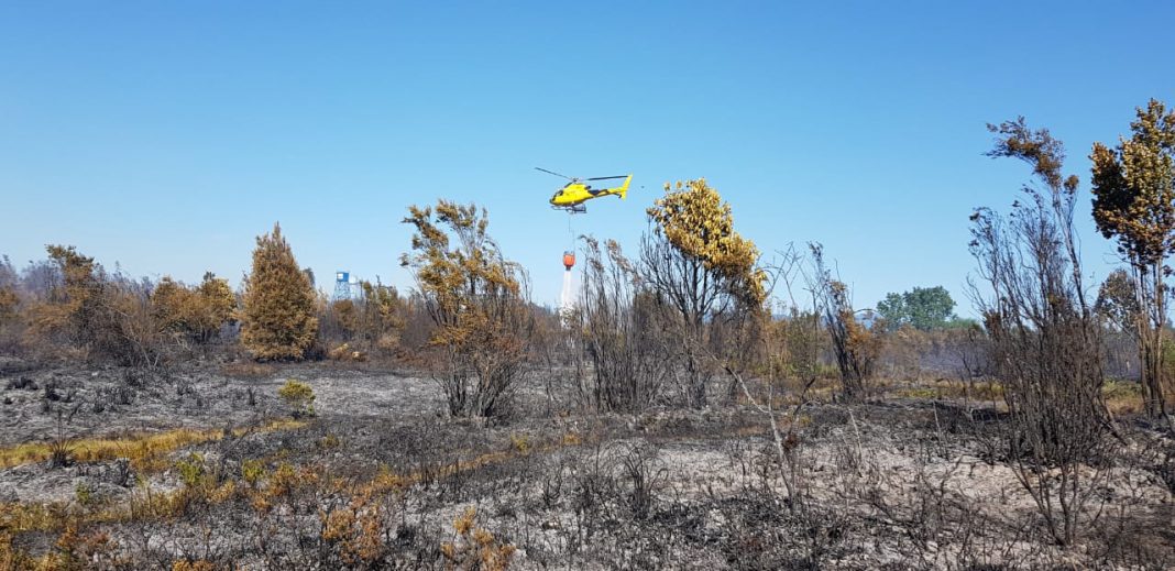 WhatsApp Image 2019-02-03 at 7.04.22 PM