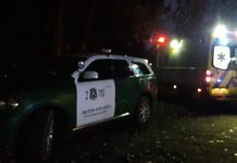 Heroico acto: Amigo rescató a joven que se había lanzado al río Rahue en Osorno