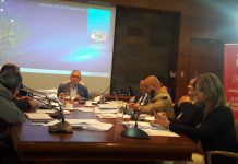 Fuerte cuestionamiento a empresa que se adjudicó concesión de parquímetros en Osorno