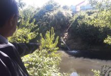 Indignación del Gobernador de Osorno tras presenciar descarga en el rio Damas (Video)