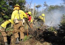 CONAF listo para reaccionar ante condiciones favorables a incendios forestales.
