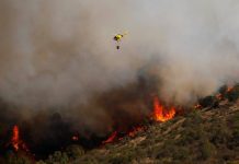 Onemi declaró Alerta Roja para la comuna de Ancud por incendio forestal