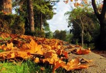Adiós al verano: Hoy comienza oficialmente el otoño