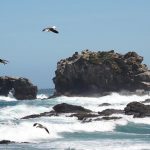 Foto 1 Playa Maicolpue