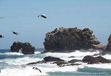 Más de 140 denuncias se realizaron por el libre acceso a las playas