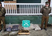 Carabineros de Chacao decomisó productos del mar que se encuentran en veda