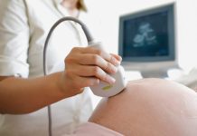 Prestación de salud de Fonasa permitirá la fertilización asistida en clínicas y hospitales