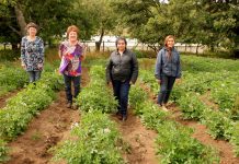 El saludo de Indap a la mujer rural en el Día Internacional de la Mujer