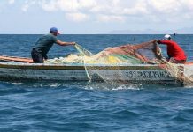Comisión del Senado espera votar anulación de la Ley de Pesca el 14 de septiembre