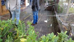 Millonarios daños dejó acción de desconocidos en el centro de Puerto Montt