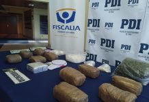 Más de 50 mil dosis de droga incautó la PDI en Llanquihue