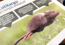 Detectan primer caso del año de Hanta en Los Ríos