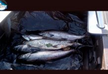 Nueve personas fueron descubiertas infringiendo la pesca recreativa en Lago Rupanco