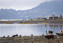 Hualaihué será foco de estudios sobre el impacto del cambio climático en el sector acuícola