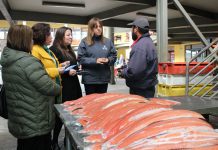 Feria Presidente Ibañez recibió nueva iniciativa del programa Gobierno en Terreno