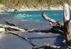 Tribunal Ambiental accede parcialmente a la petición de Colbún S.A sobre operación de Central Canutillar en casos de emergencia