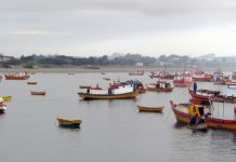 Subsecretario de Pesca se refirió a leyes que favorecen al sector pesquero artesanal