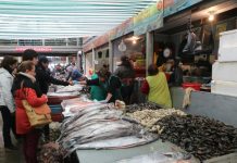 Escasez de productos del mar genera leve alza de los precios en semana santa