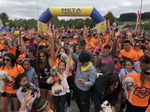 Osorninos dijeron SÍ a la tenencia responsable de mascotas