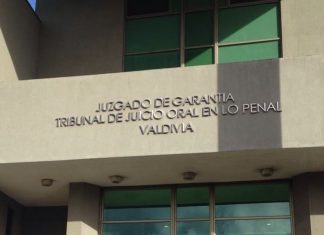 Veredicto condenatorio por daño ambiental en humedal de Mariquina en Valdivia.