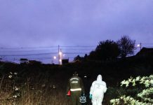 Sujeto fue detenido en Frutillar por presunto delito de violación a una adolescente