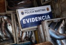 Embarcación fue descubierta con más de seis toneladas de salmón en Puerto Montt