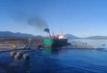 Diputado Bernales denunció colisión de embarcación contra módulo de centro de cultivo en Melinka