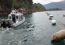 Hombre murió ahogado en el mar al caer desde un bote en Cochamó