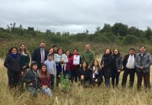 Isla Quihua tendrá parque ecológico en Calbuco