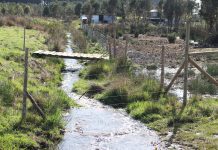 Empresa Essal no ha sido notificada de proceso judicial por contaminación de rio en Los Muermos